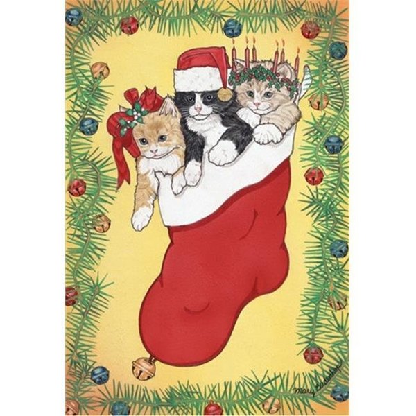 Pipsqueak Productions Pipsqueak Productions C414 Stocking Stuffers Cat Christmas Boxed Cards - Pack of 10 C414